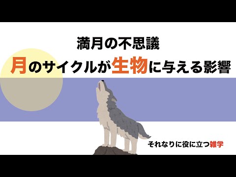 月を使ったガーデニング 科学の再考 提案 ガーデニングの月の満ち欠け