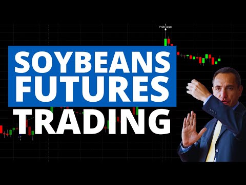 Soybeans Futures Trading: Discover these Well-Performing Strategies