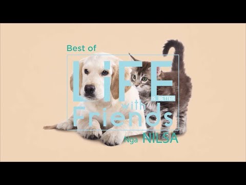Best of 2018 në Life is Better with Friends 01/08/2018 | IN TV Albania
