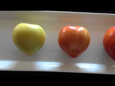download lagu mp3 mp4 Lemon Plum, download lagu Lemon Plum gratis, unduh video klip Lemon Plum