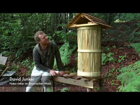 BEES LITTLE HELPER - Ant catches wax moth