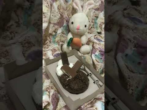 27 de março de 2024