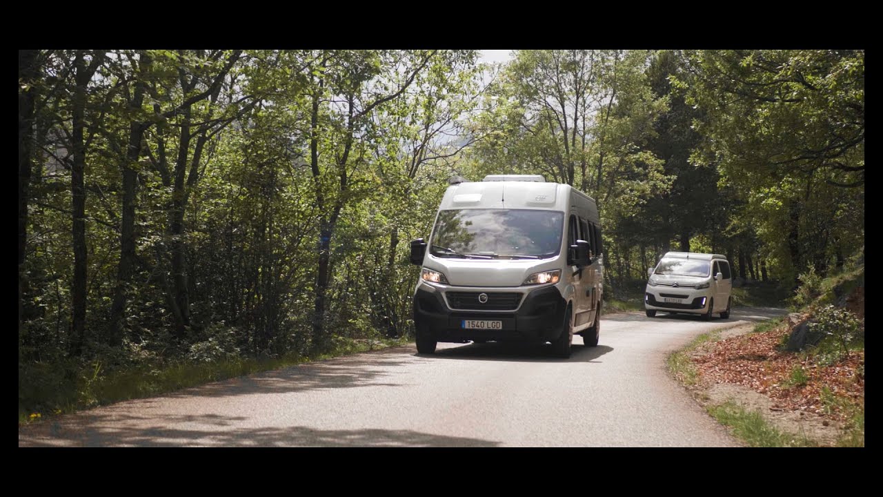 Auto Suministres Motor