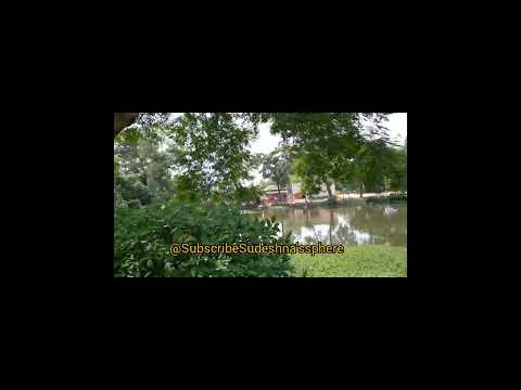 Tranquility of my village with chirping of birds & lush green trees!🍃🌳#Villagevibes#Greenery