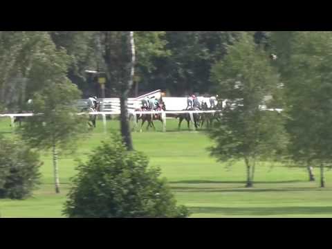 KV, 23. 7. 2017, 7. dostih - Cena DZS STRUHAŘOV a.s.