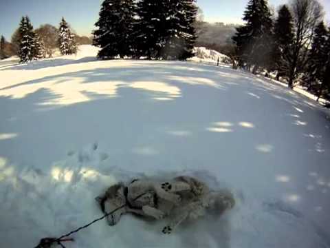 raquette au pres d'orvin 10km