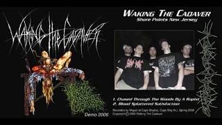 Download lagu Waking The Cadaver- Demo 2006 mp3