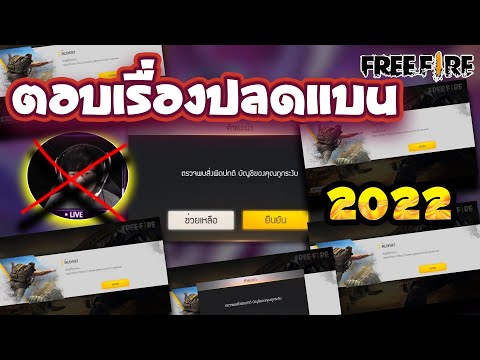 ฟีฟายเซิฟอินโด