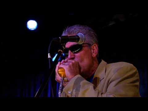 Rod Piazza & The Mighty Flyers - Southern Lady (Live)