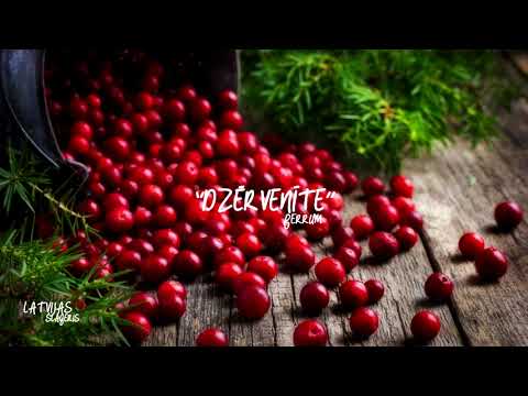 Dzērvenīte | Ferrum