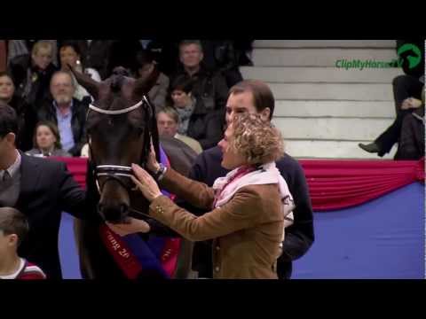 Siegerhengste Oldenburg |  2012