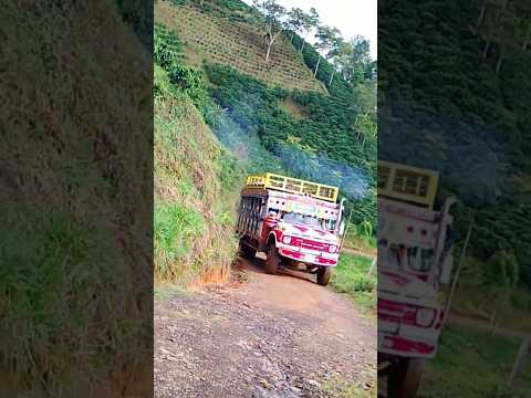 la bella #chivas la gaviota en Betulia Antioquia es modelo 1965 y aun sigue vigente #campo