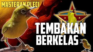Download lagu Masteran pleci tembakan berkelas lomba pcmi mp3
