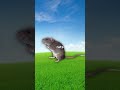 Why Do Rats Scare Elephants? 🤨 #shorts #viral
