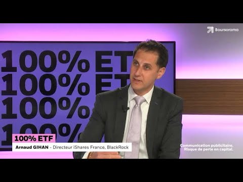 , title : '100% ETF : 4 erreurs à ne pas faire avec les ETF ?'