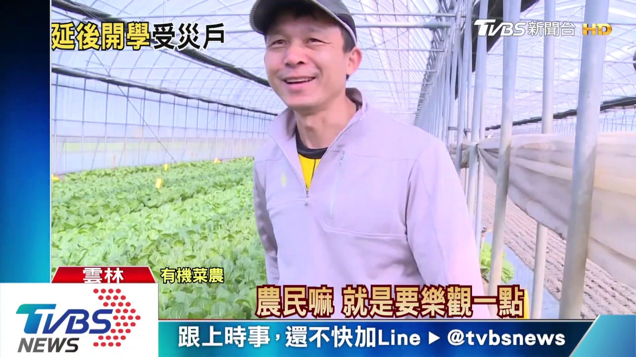 防疫延後開學！　契作有機菜14天量該銷哪