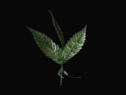 Painkiller vs Madmax