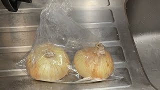 旬の新たまねぎを刻もう(最速)