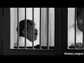 Vinmeengalai Thaandiyum And Sarvam Mix