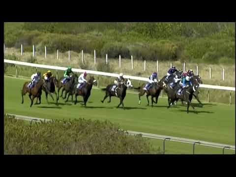 2021 Cape Flying Championship G1 - Run Fox Run (奔跑小狐) - A.Marcus