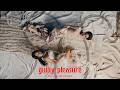 PP KRIT Feat GALCHANIE Guilty Pleasure Official MV Teaser