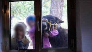 Abruzzo, la storia della famiglia che vive nel bosco: «Senza acqua corrente né scuola ma felici»