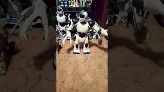 Download lagu First Robot Of 2023: Robosapien V2 (French Version) mp3