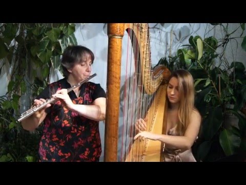 Il est cinq heures, Paris s'éveille (Dutronc) - Myriam & Maia Darme (Flute and Harp Duet)