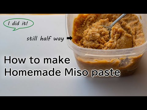 How to make Homemade Miso paste, only 3 ingredients recipe, your own Japanese Miso and Miso soup