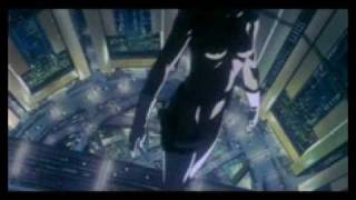 Ghost in the Shell amv - shadow of your love