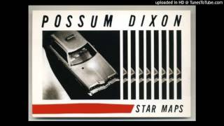 Possum Dixon - In her Disco