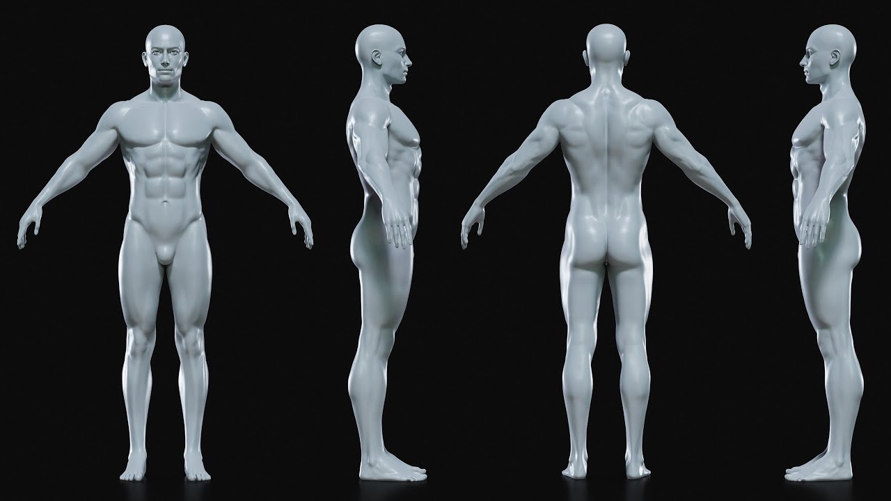 Realistic Athletic Human Body Base Mesh 3D Model