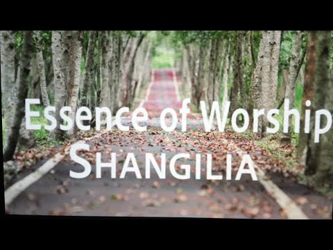 Essence of Worship - Shangilia ( Lyric video)