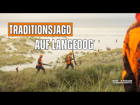 Driven hunt on the North Sea island of Langeoog 📯 Hunting hare & pheasant in the dunes – Hunt on ...
