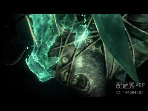 英雄联盟&mdash;血港鬼影&middot;派克配音
