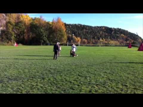 Crutt Av Staalhjerte, LL Siggerud IPO1 OKT 2012  - C 95p