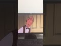 The Aristocats Back Home