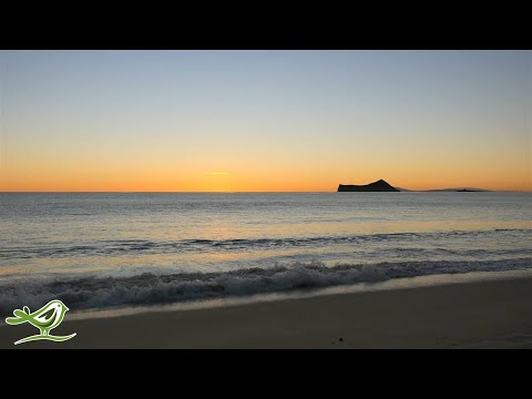 3 Hours of Beautiful Relaxing Piano & Cello Music