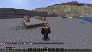 come avere il debug stick  su Minecraft Java