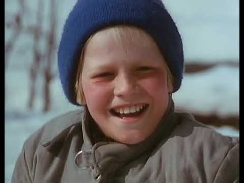 Die Kinder vom Mühlental 12 - Der große Sprung / Wenn die Tiere reden