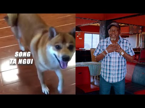 TA NGUI BY KAMANDE WA KIOI OFFICIAL VIDEO @jsteps studios