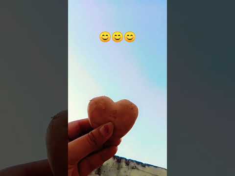 ye mere Humsafar #hindisong #shaivya #😍😍😍😍😍😍😍😍😍😍😍😍😍😍😍😍😍😍😍😍😍😍😍