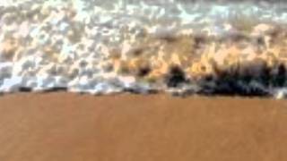 LA CASA IN RIVA AL MARE...lucio dalla