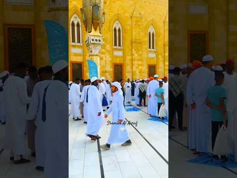 Qalbi Fil Madinah ❤️| Walking in Masjid an-Nabawi | Maher Zain & Harris J | Emotional Islamic Vibes