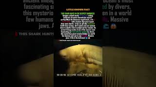 Download lagu This Giant Shark Lives in Almost Total Darkness! 🦈🌑 mp3
