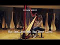 Taylor Swift - The Smallest Man Who Ever Lived (Harp Cover)