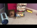 When VHS Collectors Slack Off