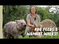 A Day In The Life Of An Australia Zoo Keeper Australia Zoo Life
