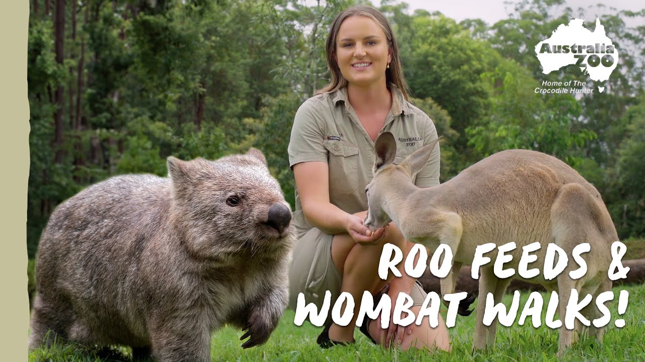 How much are zookeepers paid at Australia Zoo?