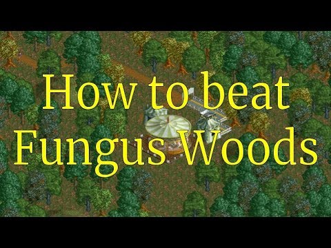 RCT2 - How to beat Fungus Woods
